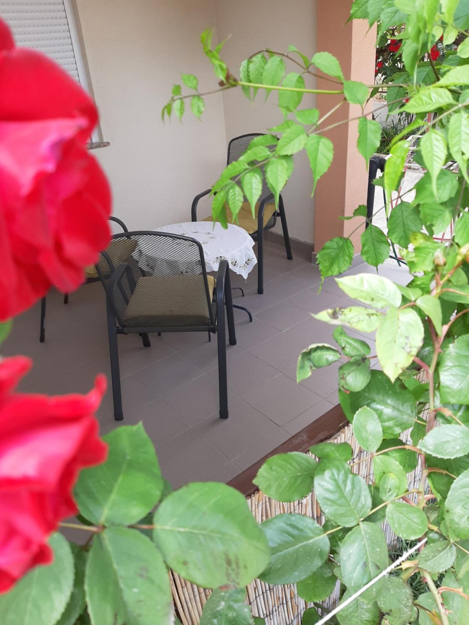 זאדאר Luna Maris Apartments מראה חיצוני תמונה