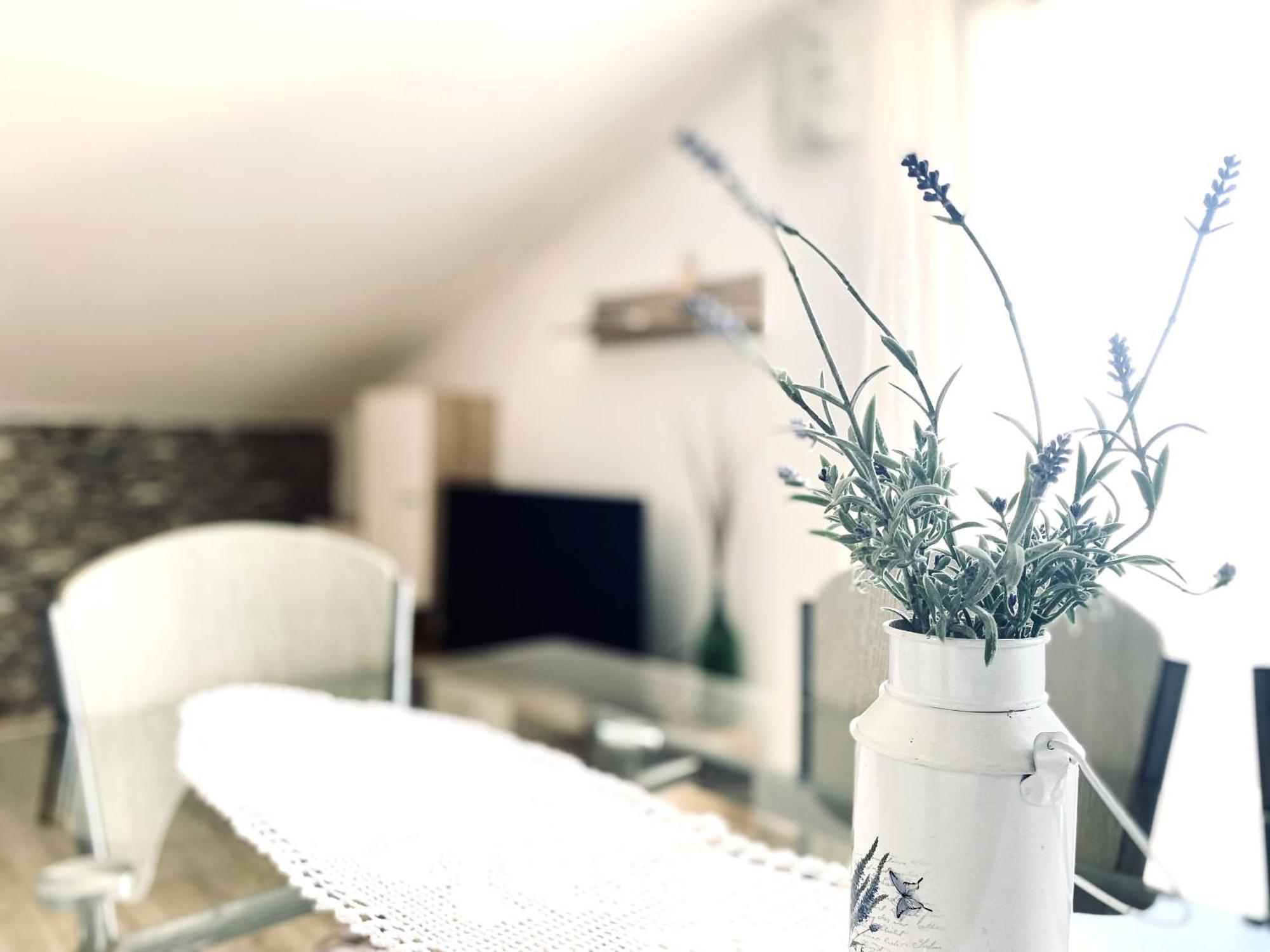 זאדאר Luna Maris Apartments מראה חיצוני תמונה